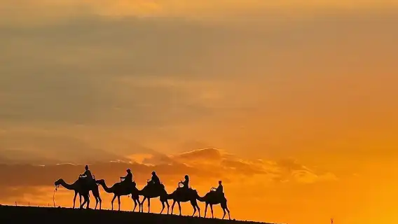 Marrakech: Agafay Desert Quad Biking & Camel RIDE & Dinner & Show