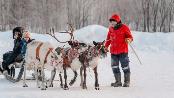 Атомный ледокол "Ленин" + Саамская деревня + закат в снежном парке северного сияния в Мурманске|индивидуальный трансфер/аренда автомобиля с водителем с возможностью персонализации
