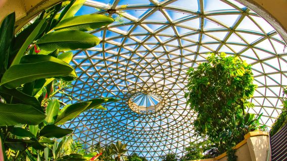 Brisbane Bus Tour: City highlights & Mt Coot-tha Lookout