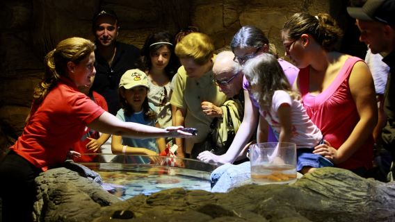 SEA LIFE Porto Tiket Masuk Sehari Penuh