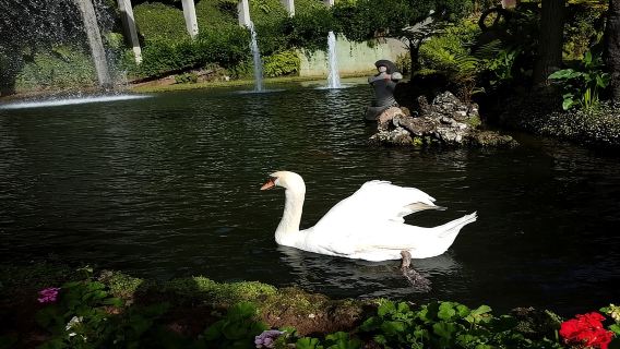 Madeira: Tour tham quan vườn nửa ngày có hướng dẫn riêng