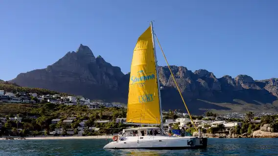 เคปทาวน์: ล่องเรือ V&A Waterfront Gin Voyage Cruise