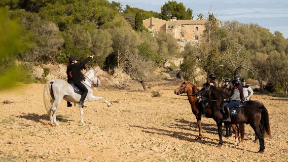 Maiorca: tour guidato a cavallo nella valle di Randa