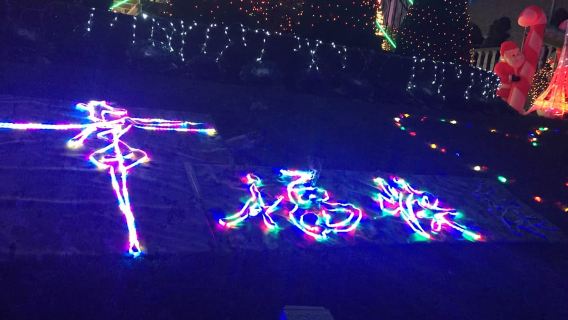 New York|Visite guidée française de Noël à Brooklyn