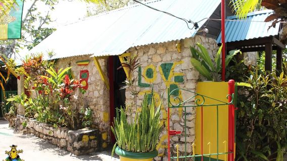 Bob Marley Birthplace and Dunn's River Falls Private Tour