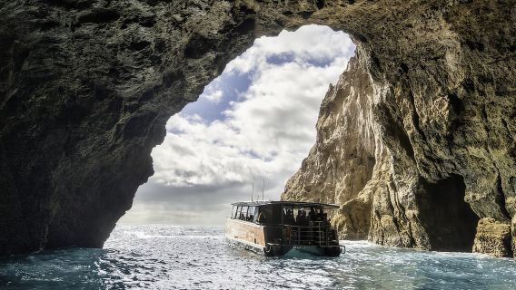 Tour tham quan bờ biển và hang động Cathedral Cove