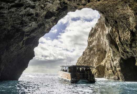 Cathedral Cove Coast and Cave Tour