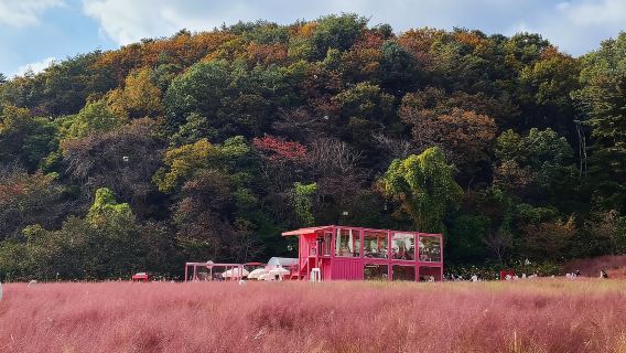 From Seoul: Pocheon, Sanjung Lake and Bidulginang Fall Trip
