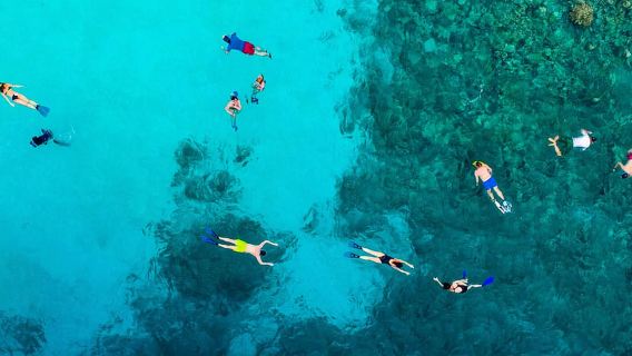 Tour tham quan Cổng vòm Los Cabos & Bãi biển Lover + Tour lặn biển