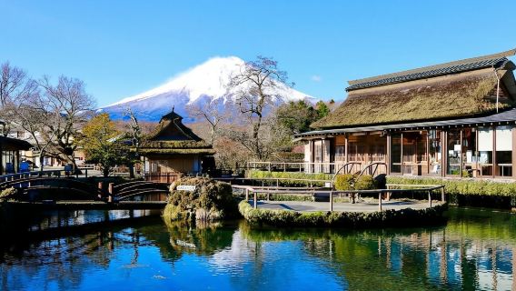 Tokyo|Hakone Ropeway + Lembah Owakudani + Taman Oishi + Bandar Tangga Syurga|Perjalanan sewaan peribadi boleh disesuaikan