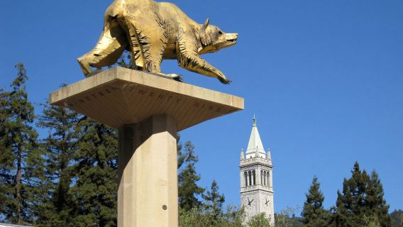 美國舊金山加州大學伯克利分校+斯坦福大學+硅谷（包車遊）