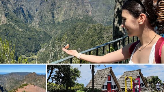 EAST: Pico do Arieiro & Laurissilva Forest - Full Day tour