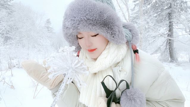 長白山北坡純玩一日遊【市內上門接、候補成功率高、含門票】