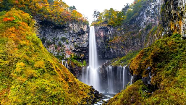 โตเกียว: ทัวร์ศาลเจ้านิกโกโทโชและน้ำตกเคงอน