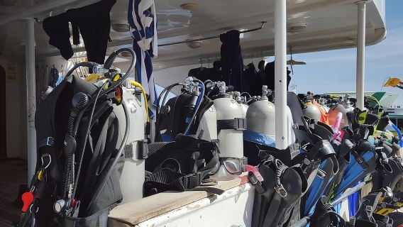 Intro Scuba Diving