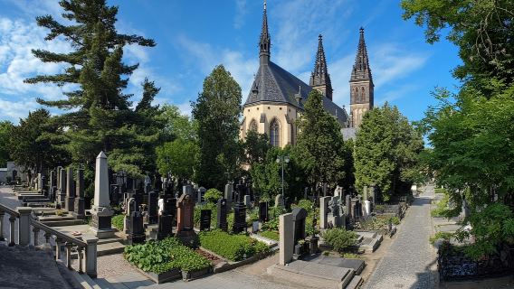 Vyšehrad Castle Entry and Guided Tour