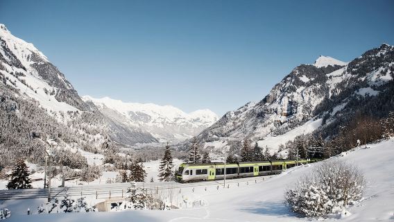 Swiss Half Fare Card: Valid for 1 month, issued instantly, and get half-price tickets for trains and museums in 90 Swiss cities.