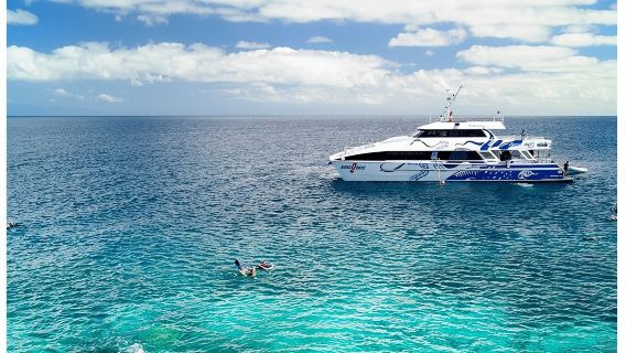 1-day tour of Great Barrier Reef diving on Aqua Quest in Cairns, Australia