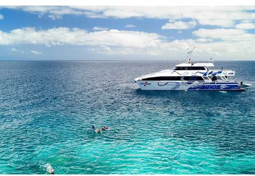 1-day tour of Great Barrier Reef diving on Aqua Quest in Cairns, Australia AUD 266.23