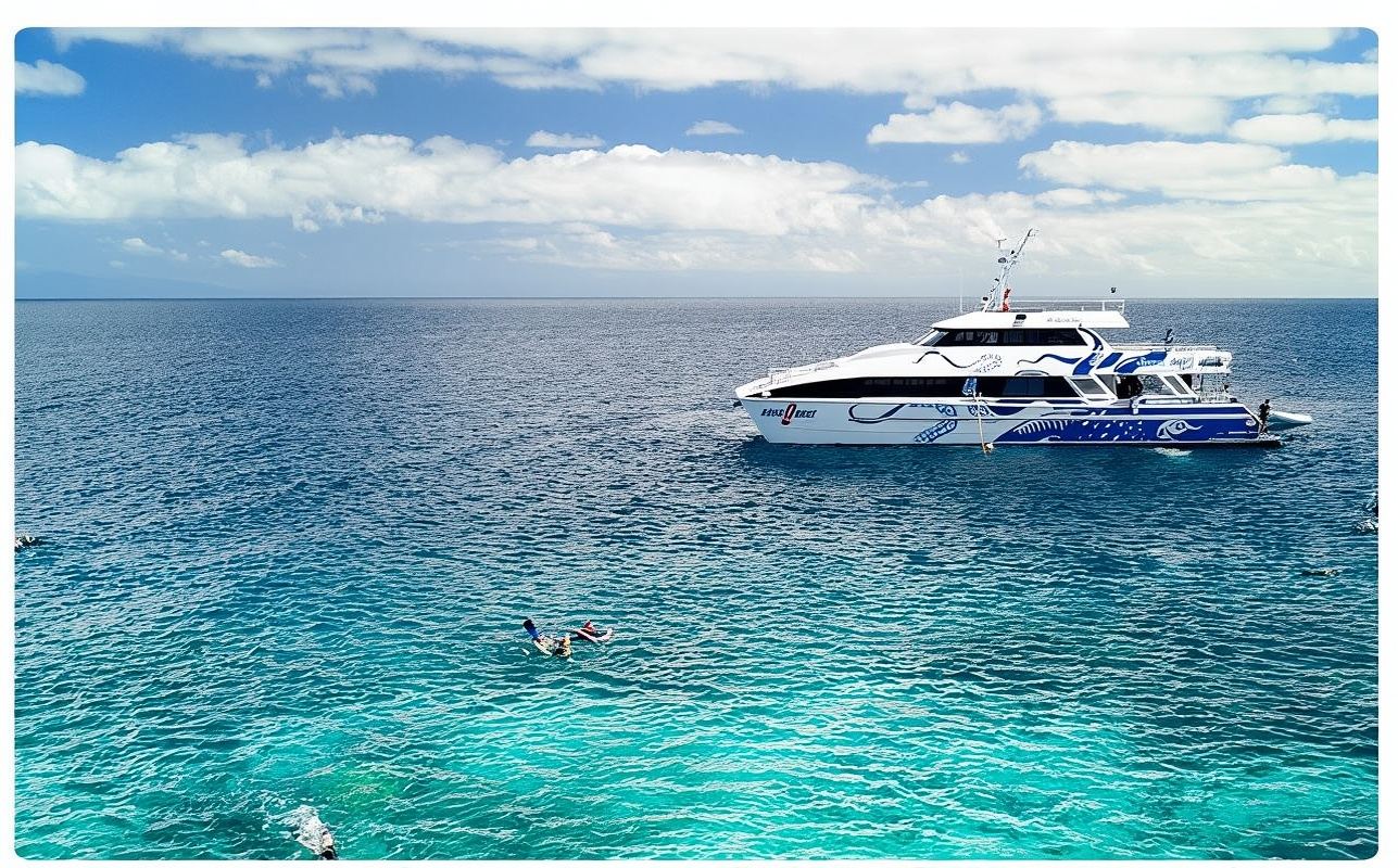 Tour di un giorno a Cairns con l'Aqua Quest per l'immersione nella Grande barriera corallina