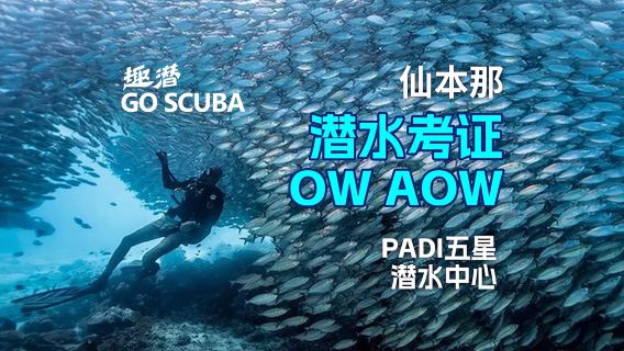 マレーシア センポルナ ファンダイビング GO スキューバダイビング認定 O+A 認定 3~5日間 【PADI 5つ星ダイブショップ + 中国語少人数クラス + アイランドホッピング学習 + 無料写真撮影】