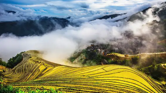 桂林龍脊梯田+金坑梯田一日遊【純玩8人小團|上門接駁】