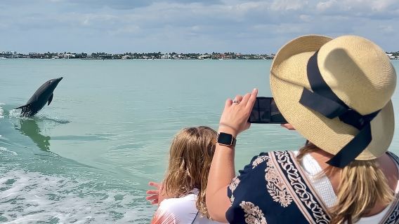 Best of Marco Island Dolphin Tour