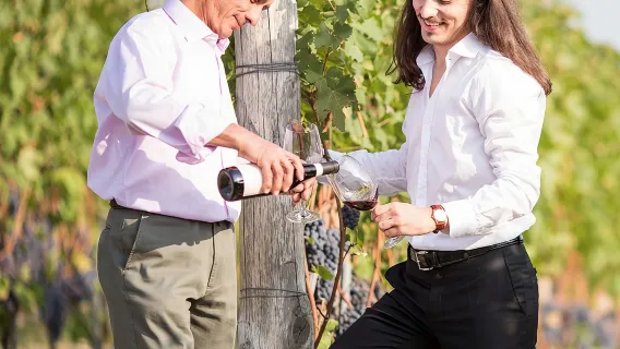 Piedmont Winery Tour: Taste Barolo, Barbaresco & Traditional Food