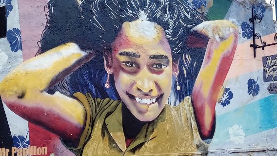 Tour a Valparaiso: Street Art, funicolari e porto