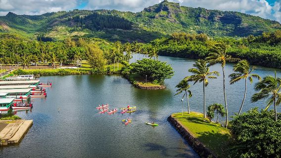 Guided Secret Falls Tour with Snacks and Drinks