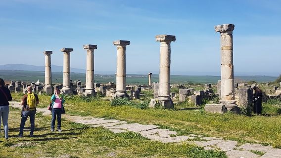 Excursión de un día a Volubilis y Meknes desde Fez