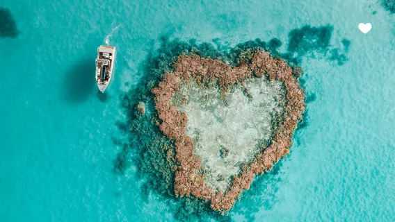 Excursion d'une journée aux îles Whitsunday et au récif de Hardy [Récif en forme de cœur + Semi-submersible + Option aller-retour]