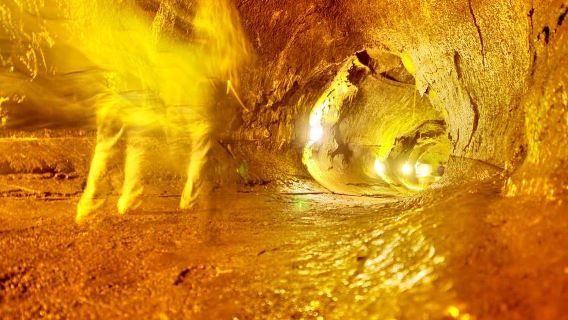 希洛+彩虹瀑布+帕奈瓦+熔岩樹國家紀念碑+瑟斯頓熔岩信道一日遊