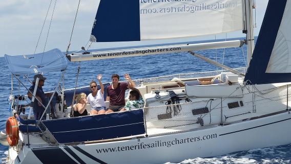 Private Yachttour mit Wal- und Delfinbeobachtung, 10 Meter langes Boot
