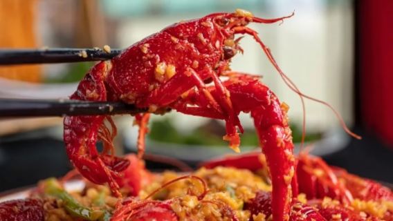  黃鶴樓+辛亥革命紀念館+東湖+毛主席舊居一日遊【獨立包團】