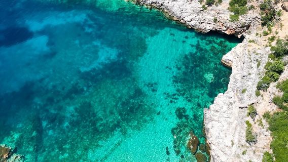 Vlore