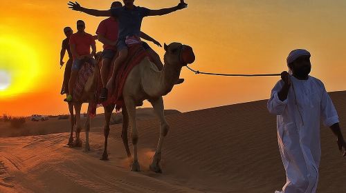 Evening Desert Safari:- Adventure Rides, Live Entertainment , BBQ Buffet & More Day Tours 9