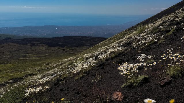 Catania: Tour Mattutino in Jeep sull'Etna e Grotte di Colata Lavica