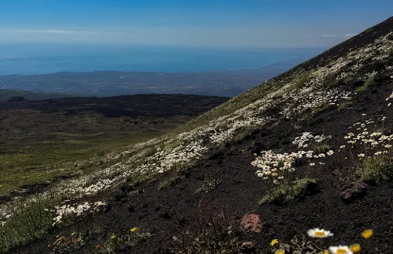 卡塔尼亞：埃特納火山吉普車晨遊及熔岩流洞穴探索