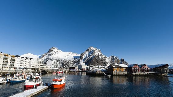 挪威羅弗敦西島+Norwegian Fishing Village Museum一日遊/行程可調-可訂製多日