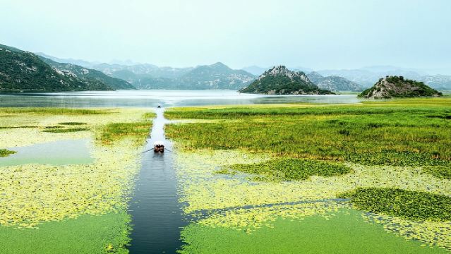 Taman Negara Tasik Skadar Lawatan Bot Berpandu dengan Bot Kayu