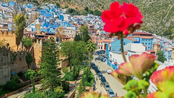 Chefchaouen Private Tour from Tangier One Full Day! 