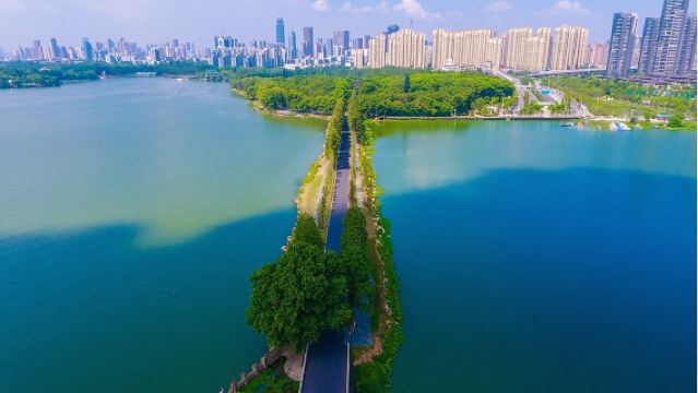 【懶睡不早起】古琴台+古德寺+黎黃陂路+山海關+可綠道騎行