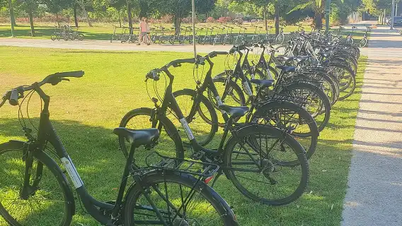 Bike Rental per Day in Seville