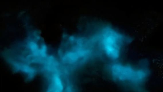 La Parguera : excursion en bateau dans la baie bioluminescente
