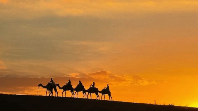 Marrakech: Quad en kameel, dinershow in de Agafay-woestijn