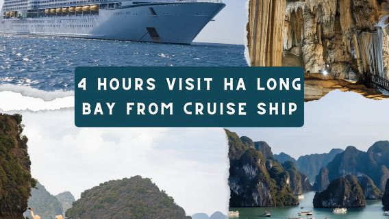 Từ Cảng du thuyền Hạ Long: Tour du thuyền 4 giờ tham quan Vịnh Hạ Long