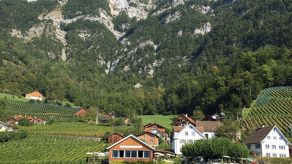 Zurich: Chuyến phiêu lưu đi bộ đường dài có hướng dẫn viên ở Walensee kèm du thuyền