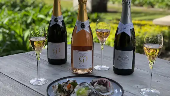 เคปทาวน์: ทัวร์ไวน์ส่วนตัวพร้อมชิมไวน์และอาหารกลางวัน