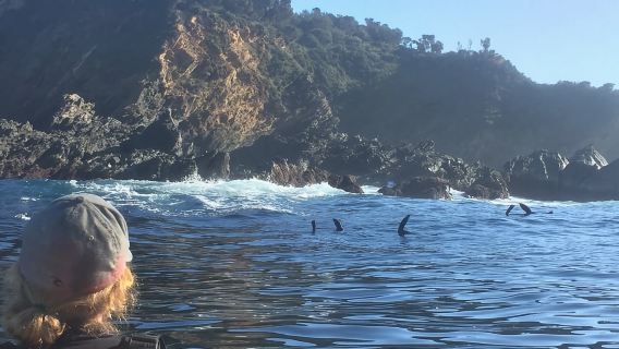 Batemans Bay: Half-Day Sea Kayak Tour